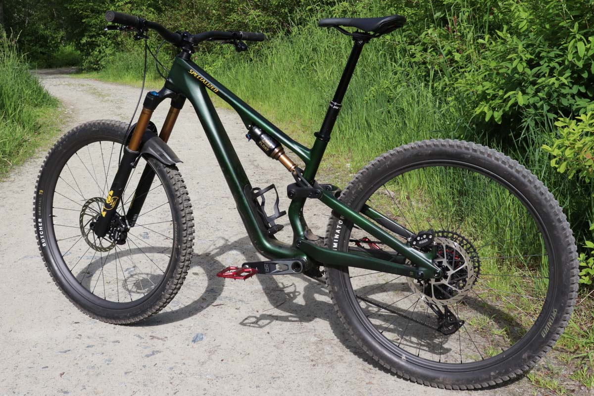 Specialized Stumpjumper 15, rear angle